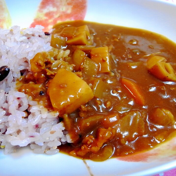 根菜とひき肉のカレー